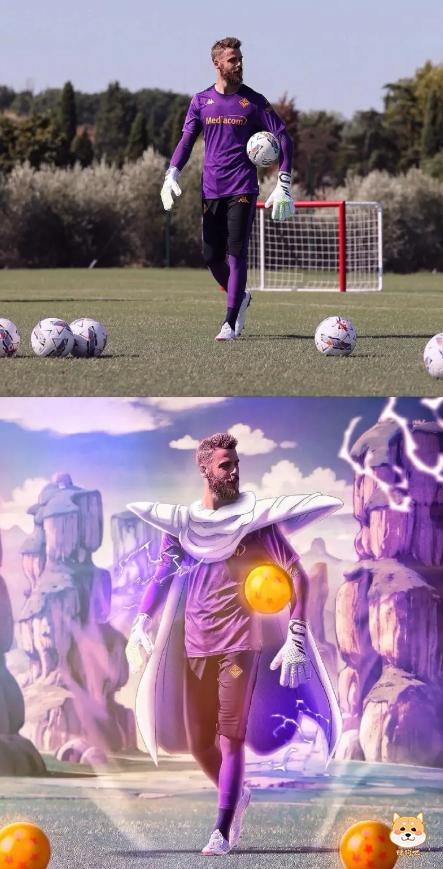 七大联赛最强门神!